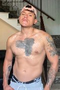 Foto Adonis Xxl Boy Taranto 3246012860 - 1