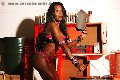 Foto Alessandra La Gatta Nera Transescort Vercelli 3488811524 - 97