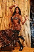 Foto Alessandra La Gatta Nera Transescort Vercelli 3488811524 - 47