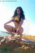 Foto Alessandre Xxii Trans Gallarate 3317852006 - 46