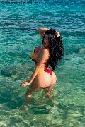 Foto Alessandre Xxii Trans Gallarate 3317852006 - 39