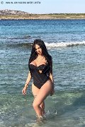 Foto Alessandre Xxii Trans Gallarate 3317852006 - 57