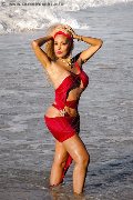 Foto Amber Trans Milano 3474004169 - 11