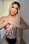Foto Angel Bunny Trans Milano 3474642611 - 1