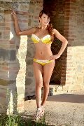 Foto Ariadna D'alessandro Transescort Perugia 3925046434 - 83
