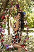 Foto Ariadna Trans Bologna 3887519396 - 76
