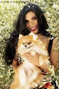 Foto Ariadna Transescort Bologna 3887519396 - 76