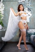 Foto Ariadna Transescort Bologna 3887519396 - 23