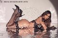 Foto Bely Trans Conegliano 3445717583 - 35