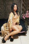 Foto Biancaladyboy Transescort Pordenone 3932233064 - 37