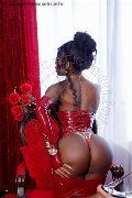 Foto Campbell Trans Padova 3933357541 - 41