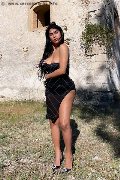 Foto Delizia Malizia Transescort Matera 3511575349 - 4