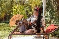 Foto Diana Ferraz Trans Firenze 3271287566 - 91
