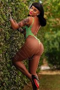 Foto Diana Marini Trans 3280291220 - 67