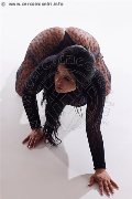 Foto Erika Escort Avellino 3385964983 - 17