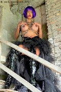 Foto Erotika Flavy Star Transescort Bergamo 3387927954 - 84