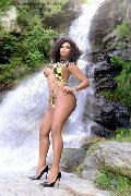 Foto Estrella Trans Torino 3801783164 - 93