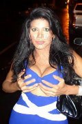 Foto Eva Star Transescort Tortosa 0034647068012 - 27