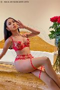 Foto Floy Trans Milano 3208109141 - 3