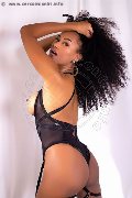 Foto Gabriella Molinaro Transescort 3484191106 - 9