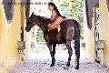 Foto Gabriella Xxl Brasile Transescort Milano 3292213799 - 70