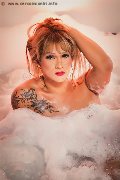 Foto Gaja Trans Ibiza 0034674836068 - 37