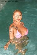 Foto Gaja Trans Ibiza 0034674836068 - 22