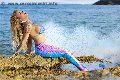 Foto Gaja Trans Ibiza 0034674836068 - 16