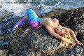 Foto Gaja Trans Ibiza 0034674836068 - 17