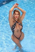 Foto Gaja Trans Ibiza 0034674836068 - 6