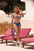 Foto Gaja Trans Ibiza 0034674836068 - 1