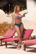 Foto Gaja Trans Ibiza 0034674836068 - 2
