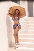 Foto Gaja Trans Ibiza 0034674836068 - 3