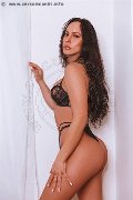 Foto Gig� Moon Trans Trento 3456144851 - 50