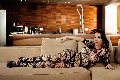 Foto Gloria Voguel Transescort Parma 3801476559 - 17