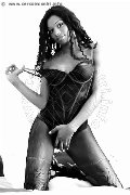 Foto Graicy Ohara Pornostar Trans Colonnella 3897696422 - 10