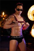 Foto Harry Dotato Boy Bologna 3932513795 - 2