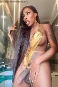 Foto Hot Campbell Transescort Padova 3933357541 - 20