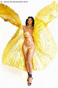 Foto Hot Channel Transescort Pavia 3384097317 - 3