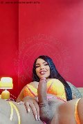 Foto Hot Luana Castrinni Trans Milano 3931001131 - 11