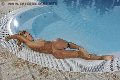 Foto Hot Luisa Mello Transescort Lido Di Savio 3296258381 - 22