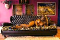 Foto Jessica Aryani Transescort Brescia 3932507943 - 18