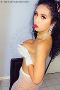 Foto Kamilly Araujo Trans Verona 3509497521 - 33