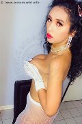 Foto Kamilly Araujo Transescort Udine 3509497521 - 38