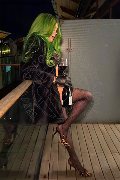 Foto Kika Doncato Trans Verona 3937317905 - 28