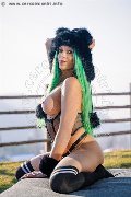 Foto Kika Doncato Trans Verona 3937317905 - 95