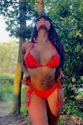 Foto Krissttal Ruizz Trans Bologna 3509582055 - 70