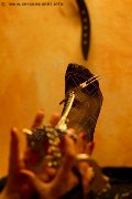 Foto Lady De Sade Italy Mistress Marina Di Carrara 3392160761 - 6
