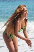 Foto Liisa Asiatica Ladyboy Trans 3489026722 - 320