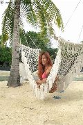 Foto Liisa Asiatica Ladyboy Transescort 3489026722 - 369